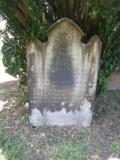image of grave number 254206